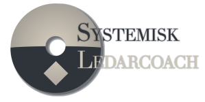 systemisk ledarcoach photoshop skuggad med ord-s